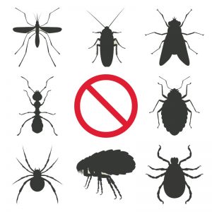 Pest Control Service in Dhaka, Pesticides Company in Bangladesh, Cleaner Company in Bangladesh