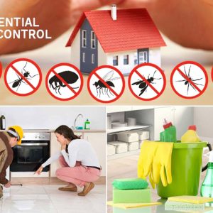 Pest Control Service in Dhaka, Pesticides Company in Bangladesh, Cleaner Company in Bangladesh