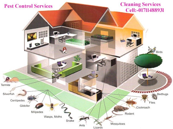 Pest Control Service in Dhaka, Pesticides Company in Bangladesh, Cleaner Company in Bangladesh