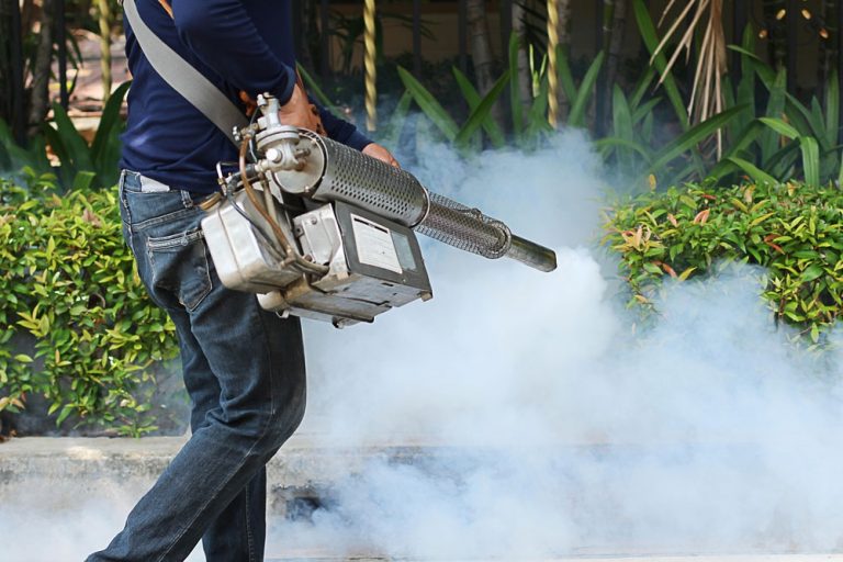 Fogging for Mosquito & Flies (1 BHK) Pest Clean